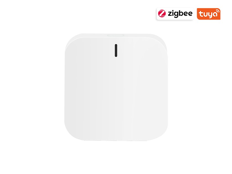 ZigBee